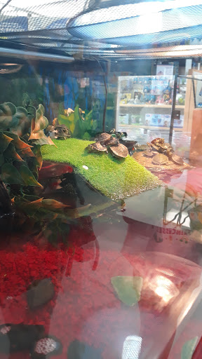 Pet Store «Wet Pets N Critters», reviews and photos, 103 TX-281 Loop, Longview, TX 75605, USA