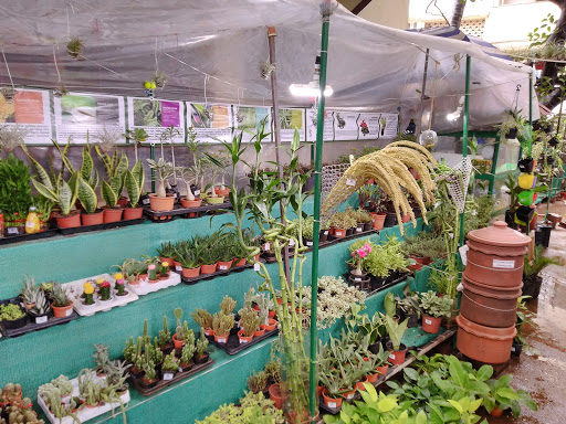 Growbites Plant Nursery
