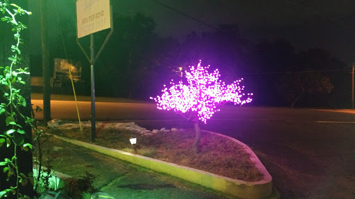 Explore lip tattoo ideas for guys, creative tattoo ideas in Longview, available at Fugis Tattoo Shop