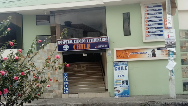 Opiniones de HOSPITAL CLINICO VETERINARIO CHILE en Ambato - Veterinario