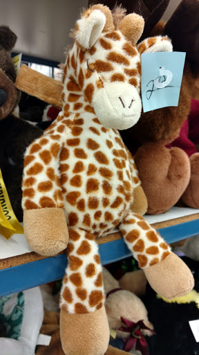 Thrift Store «Alamo Thrift Stores», reviews and photos, 2215 Spencer Hwy, Pasadena, TX 77504, USA