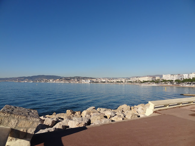 Heures d'ouverture de Puerto cannes