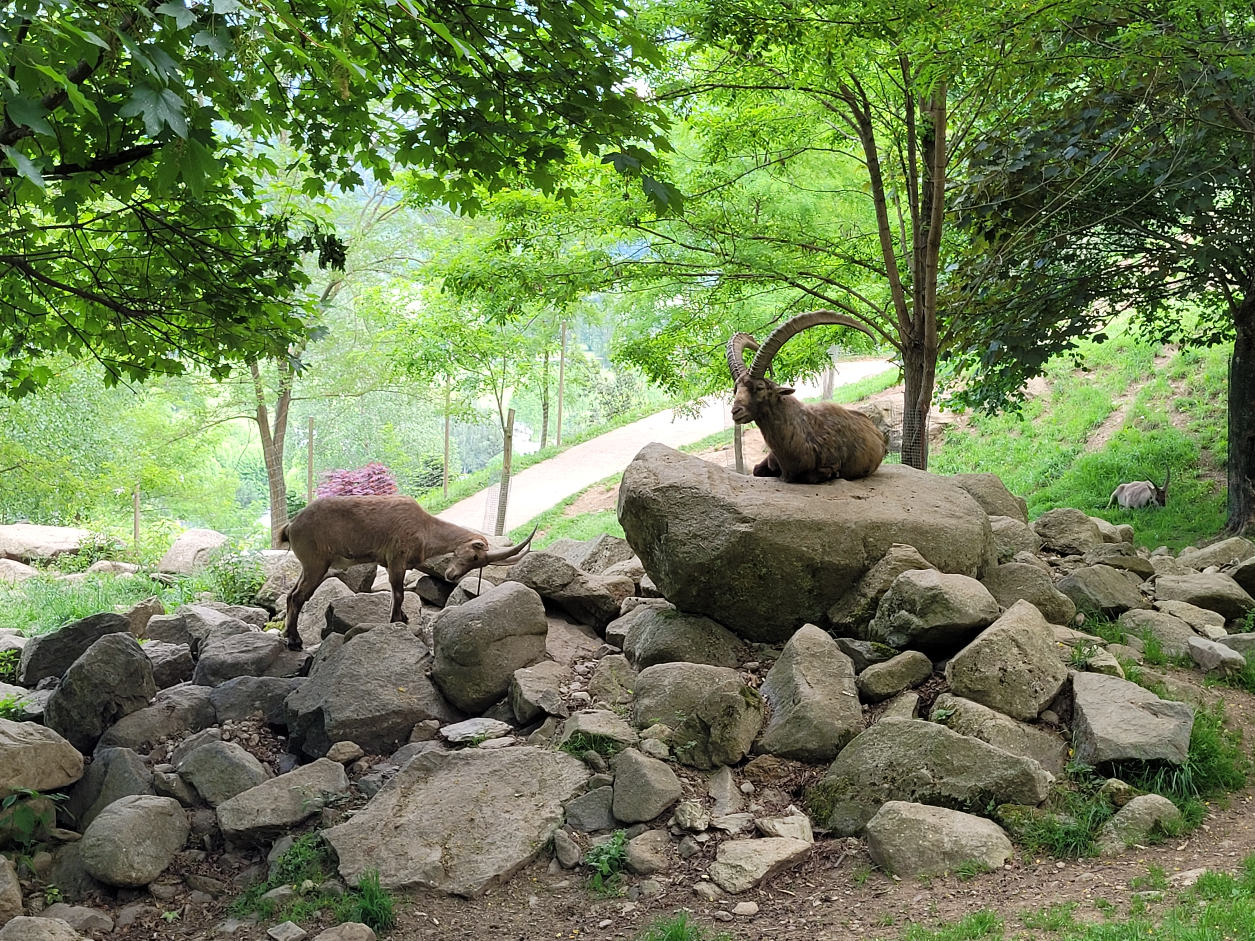 Photo n° 14 de l'avis de florian.a fait le 22/05/2022 à 17:27