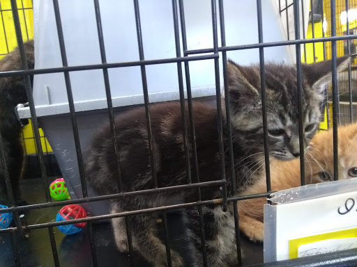 Pet Store «Hutch Pet Shop», reviews and photos, 103 Lake St, Kent, OH 44240, USA