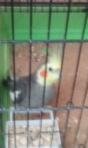 Pet Store «Pet Stop», reviews and photos, 15206 Woods Creek Rd, Monroe, WA 98272, USA