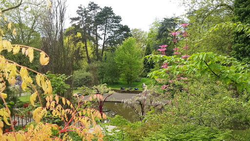 Dog friendly parks in Rotterdam