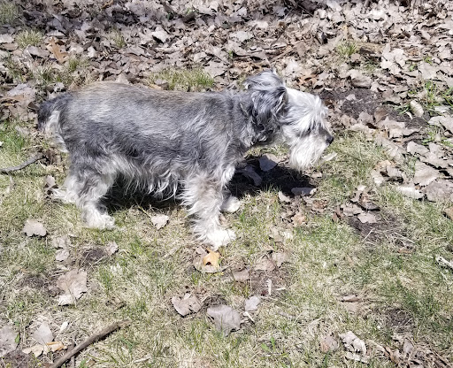 Park «Marshall Terrace Park», reviews and photos, 2740 Marshall St NE, Minneapolis, MN 55418, USA