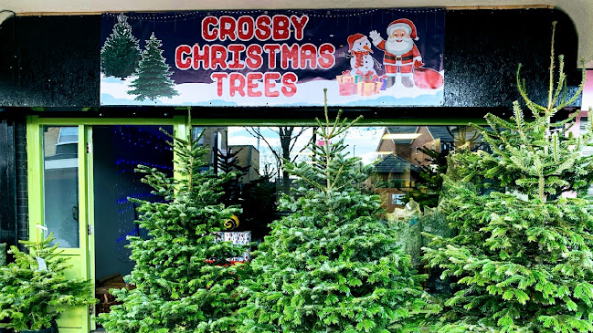 Crosby Christmas Trees