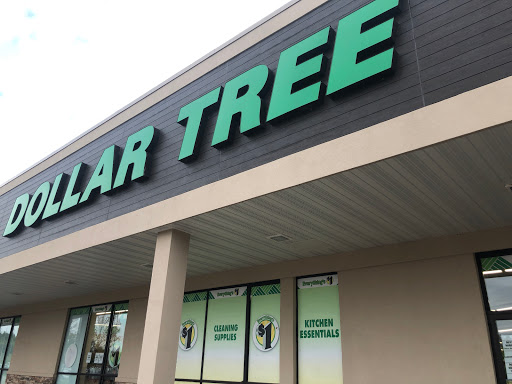 Dollar Store «Dollar Tree», reviews and photos, 8928 MN-7, St Louis Park, MN 55426, USA