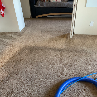 EA carpet and home cleaning