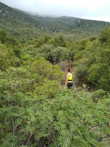 Reserva Natural Estatal Cerro del Topo Chico
