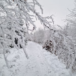 Photo n°15 de l'avis de Holger.l fait le 11/01/2019 à 16:20 sur le  Event Clubhotel Hochsauerland moderne Zimmer à Winterberg