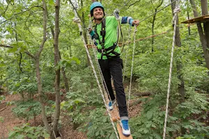 Bronx Zoo Treetop Adventure image