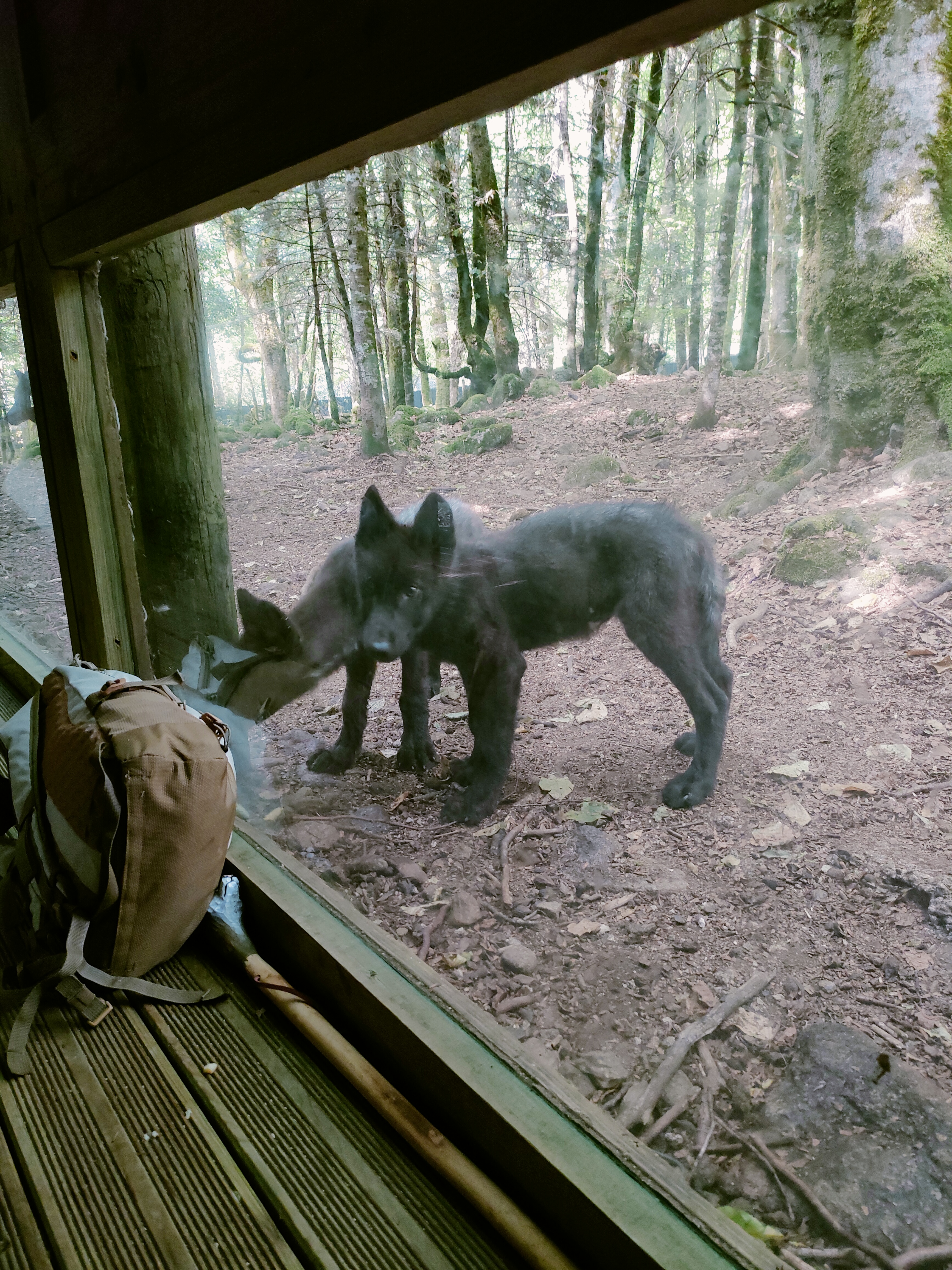 Photo n° 1 de l'avis de Emeline.e fait le 09/08/2022 à 20:55