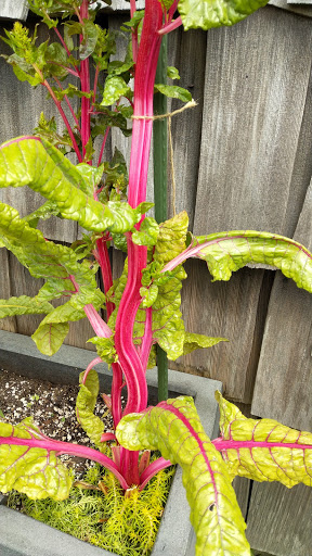 Quilt Shop «center diamond», reviews and photos, 1065 S Hemlock St, Cannon Beach, OR 97110, USA