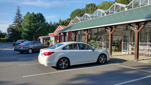 Produce Market «E Draghi & Son Farm Stand», reviews and photos, 86 Main St, South Glastonbury, CT 06073, USA