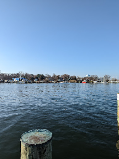 Art Museum «Annapolis Maritime Museum», reviews and photos, 723 2nd St, Annapolis, MD 21403, USA