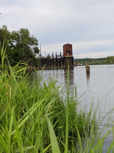 Canoe & Kayak Rental Service «Scappoose Bay Paddling Center», reviews and photos, 57420 Old Portland Rd, Warren, OR 97053, USA