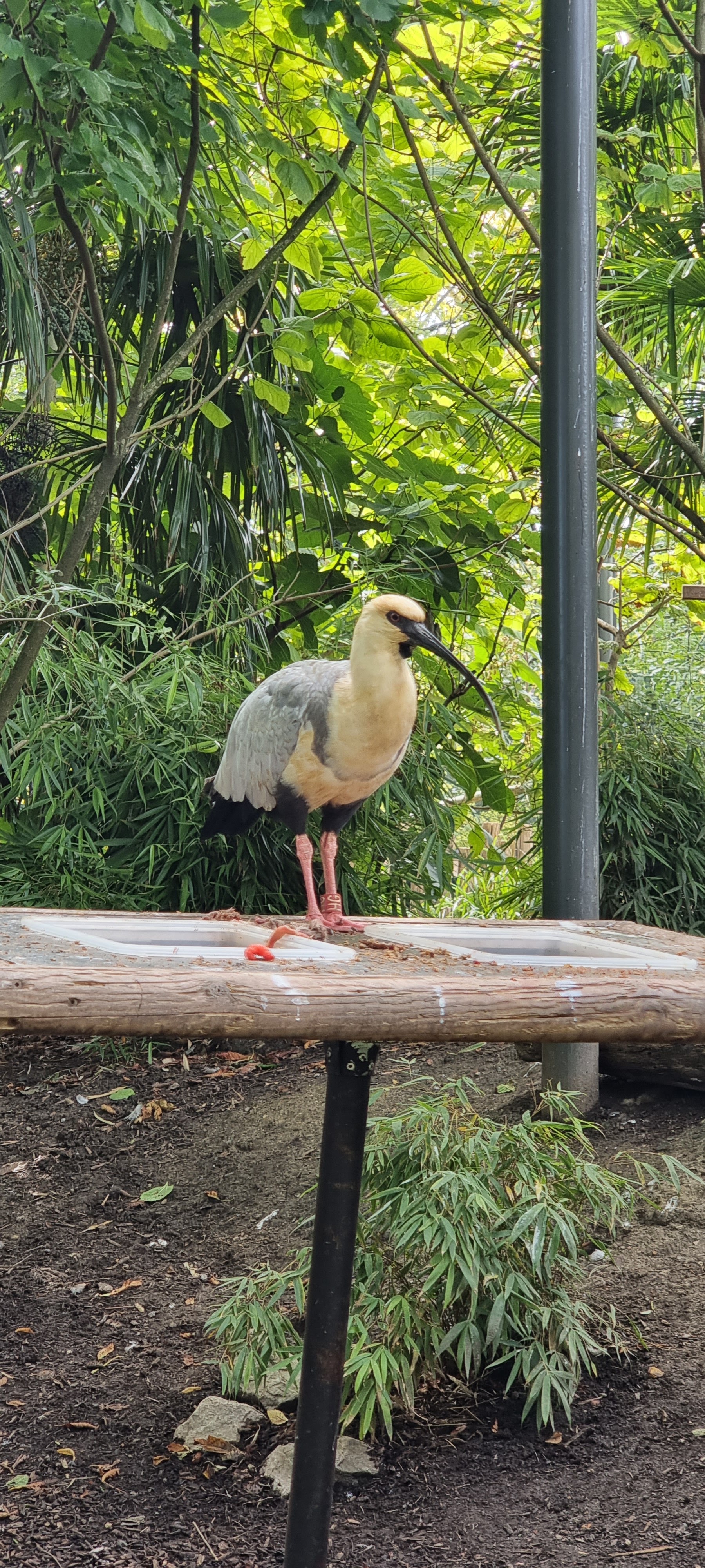 Photo n° 5 de l'avis de Fabien.a fait le 29/09/2022 à 11:23