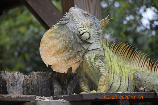 Pet Supply Store «Pet Supplies Plus», reviews and photos, 4923 Sheridan St, Hollywood, FL 33021, USA