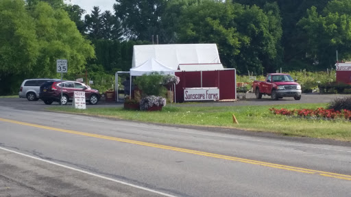 Produce Market «Sunscape Farms», reviews and photos, 1420 Creek St, Rochester, NY 14625, USA
