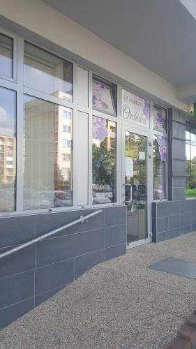 Kvety Orchidea - Kvetinárstvo