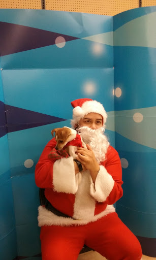 Pet Supply Store «Petco Animal Supplies», reviews and photos, 5900 E Virginia Beach Blvd #20, Norfolk, VA 23502, USA