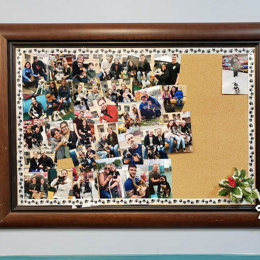 Pet Supply Store «Petco Animal Supplies», reviews and photos, 412 W Army Trail Rd, Bloomingdale, IL 60108, USA