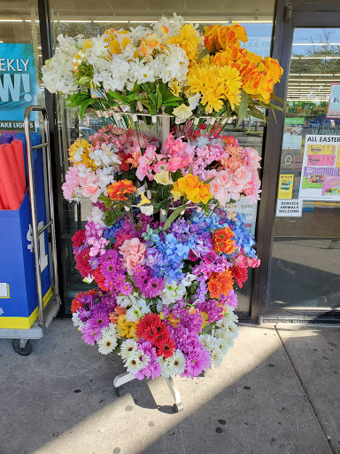 Dollar Store «Dollar Tree», reviews and photos, 7089 W Waters Ave, Tampa, FL 33634, USA