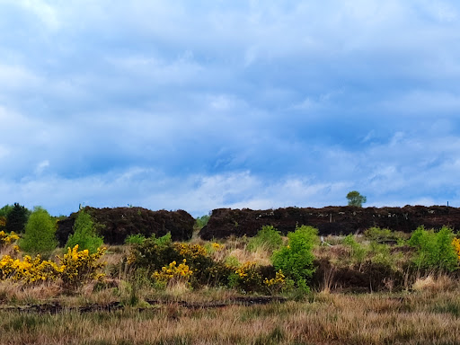 Jamestown stone trail