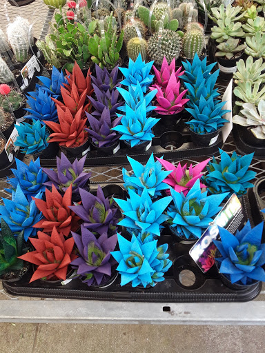 Home Improvement Store «The Home Depot», reviews and photos, 411 E Loop 281, Longview, TX 75605, USA