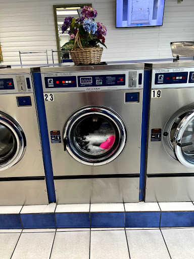 Laundromat «Zephyrhills Laundromat», reviews and photos, 37852 FL-54, Zephyrhills, FL 33542, USA