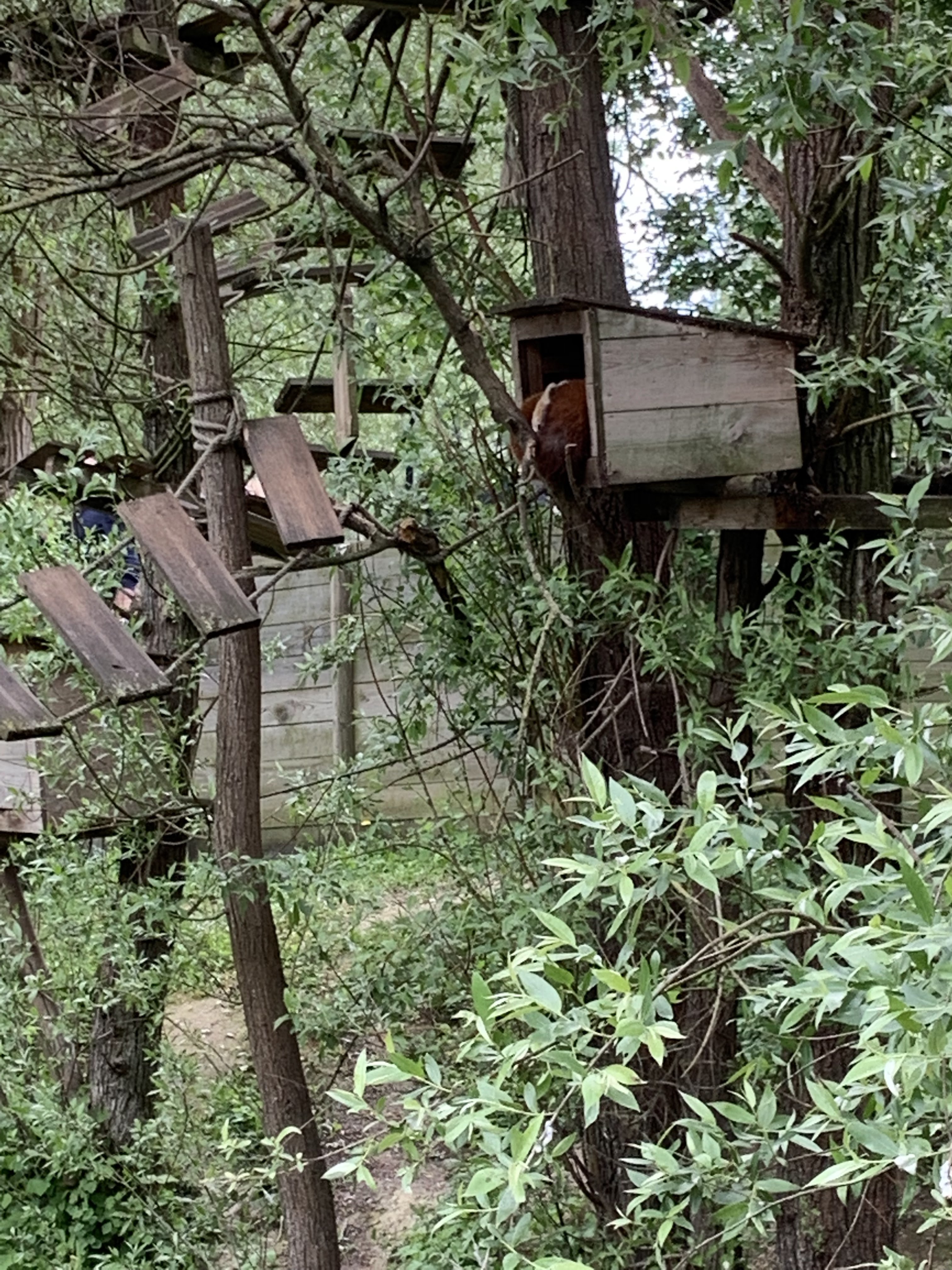Photo n° 3 de l'avis de Angie. fait le 15/05/2019 à 11:27
