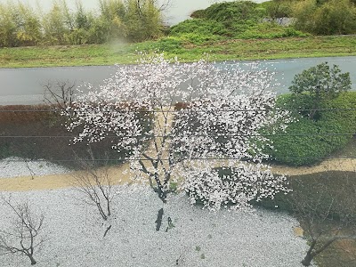 医療法人地塩会 介護老人保健施設 夢の里