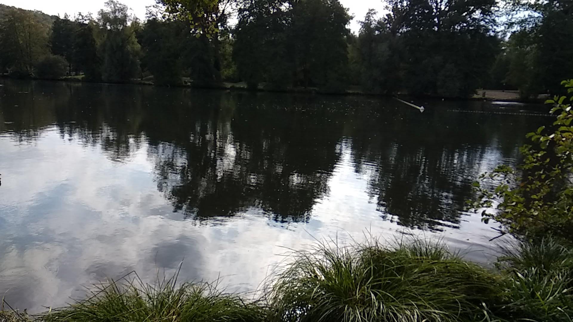 Photo n° 38 de l'avis de Timotée.r fait le 06/10/2018 à 13:14