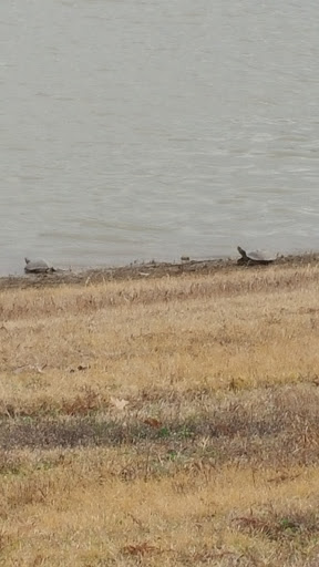 Nature Preserve «Spring Creek Forest Preserve», reviews and photos, 1770 Holford Rd, Garland, TX 75044, USA