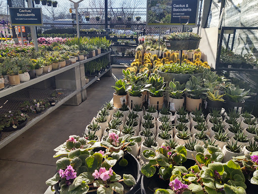 Home Improvement Store «The Home Depot», reviews and photos, 1750 Jonesboro Rd, McDonough, GA 30253, USA