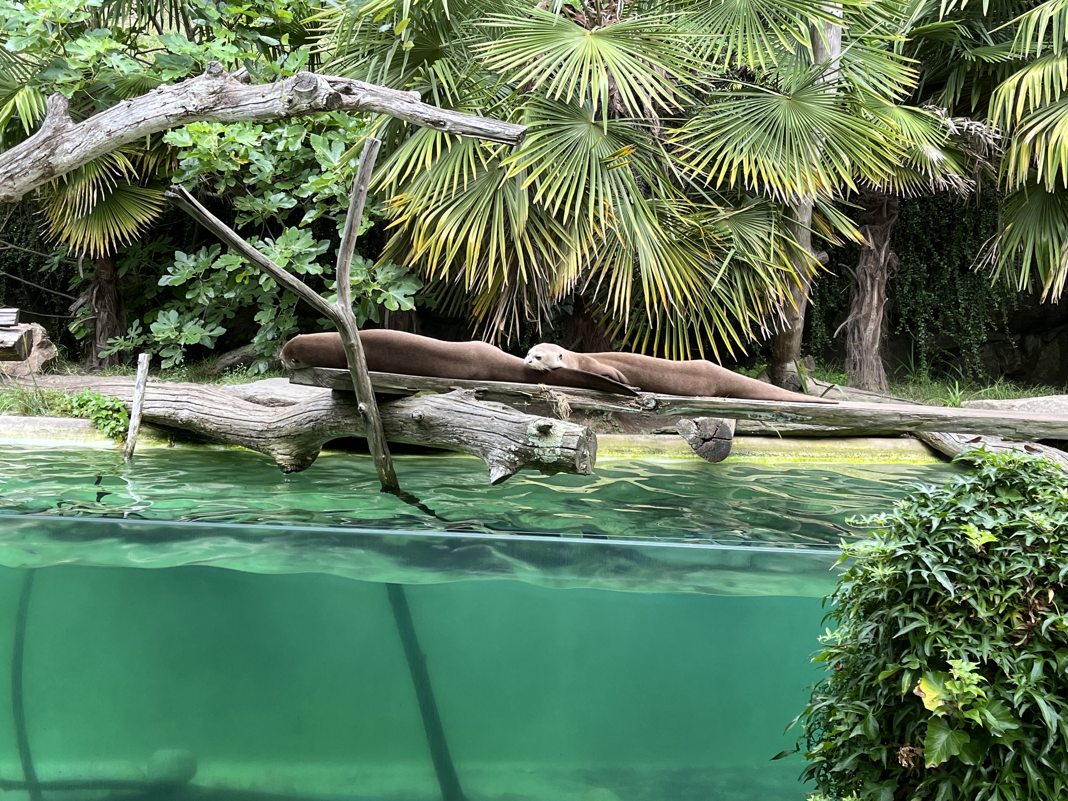 Photo n° 5 de l'avis de alexandra.a fait le 02/08/2023 à 16:52