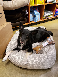 Kriser's Natural Pet - Photo 9 - Car repair in Kildeer, IL, Elgin