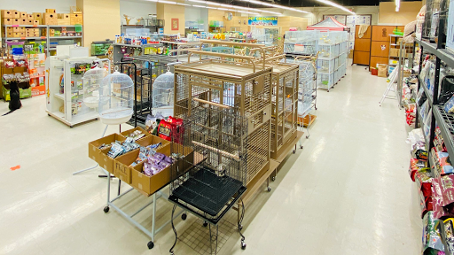 Tweety Brothers Pet Shop