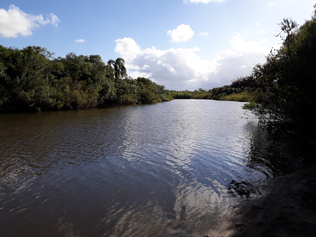 Opiniones de Bomba Antigua Arroyo Parao en Treinta y Tres - Camping