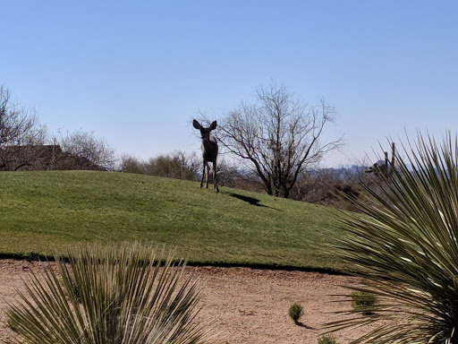 Golf Club «Apache Creek Golf Club», reviews and photos, 3401 S Ironwood Dr, Apache Junction, AZ 85120, USA