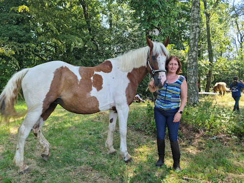 Espace Cheval à Courmangoux