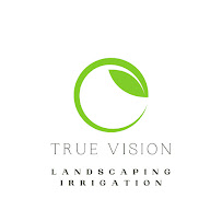 True Vision Landscaping - Photo 2 - Car repair in , Olympia