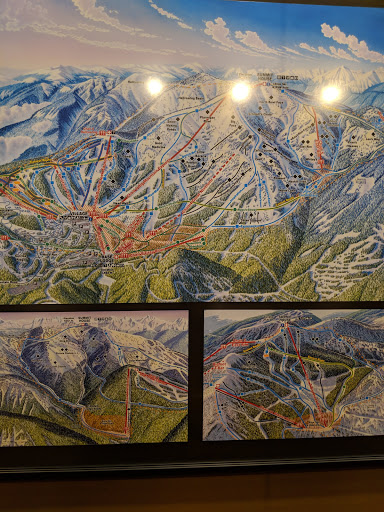 Brewery «The Great Northern Brewing Company», reviews and photos