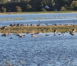 Aussichtspunkt Kreuzdeich photo