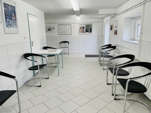 Dr.med.vet. Andre Freitag veterinarian unter Hettstedt, 