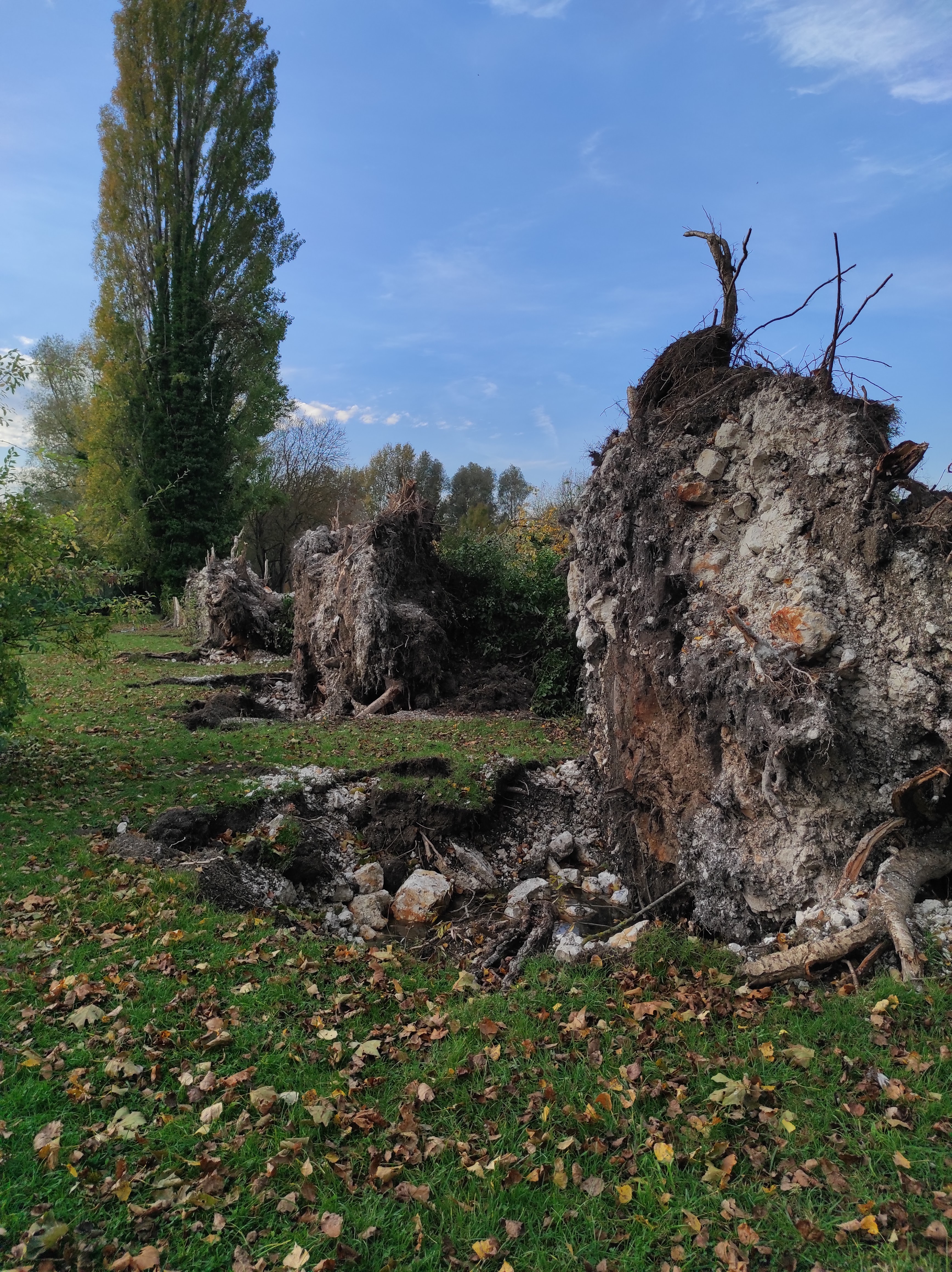 Photo n° 8 de l'avis de nadine.o fait le 29/10/2022 à 17:42