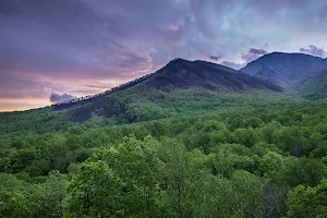 Carlos Campbell Overlook image