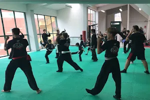 Kung Fu Terni • Shaolin Hun Gar • Tai Chi • Sandà image